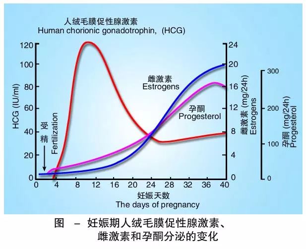 怀孕期间HCG低怎么办？